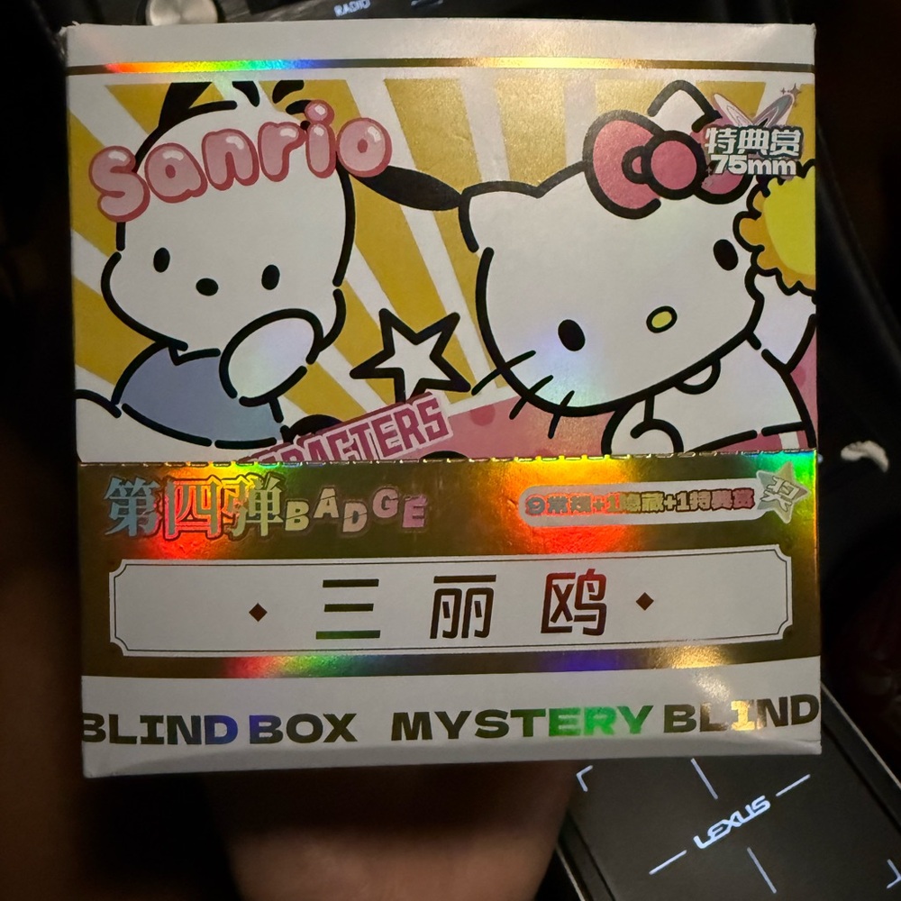 Sanrio Blind Box